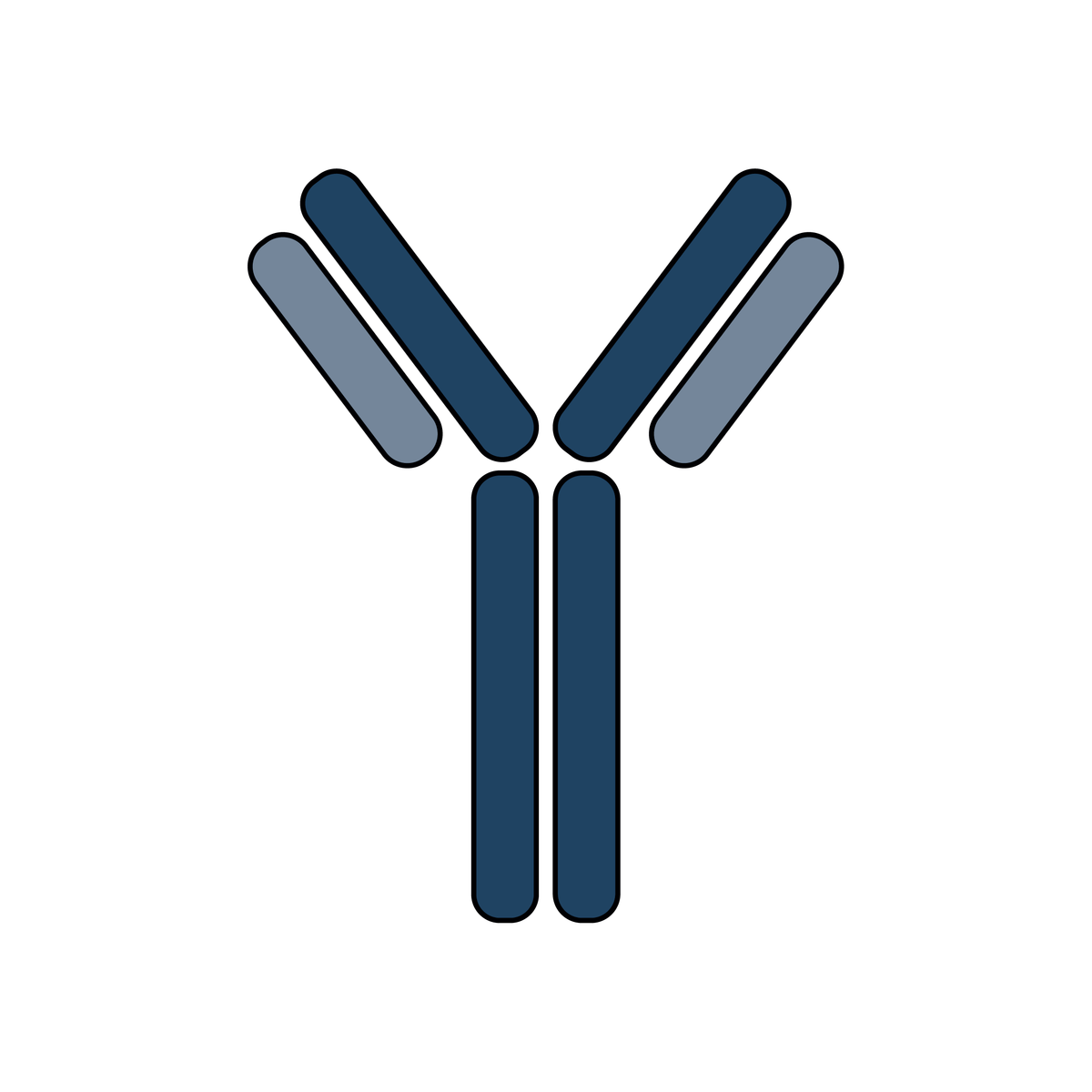 PICO Antibody Selection and Purchase Service
