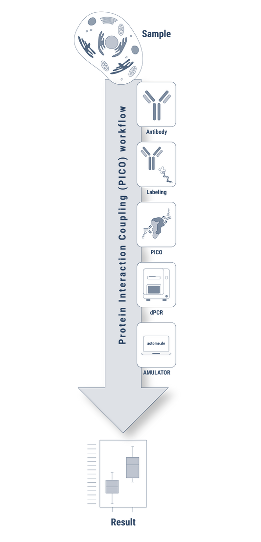 PICO Custom Assay Development Service